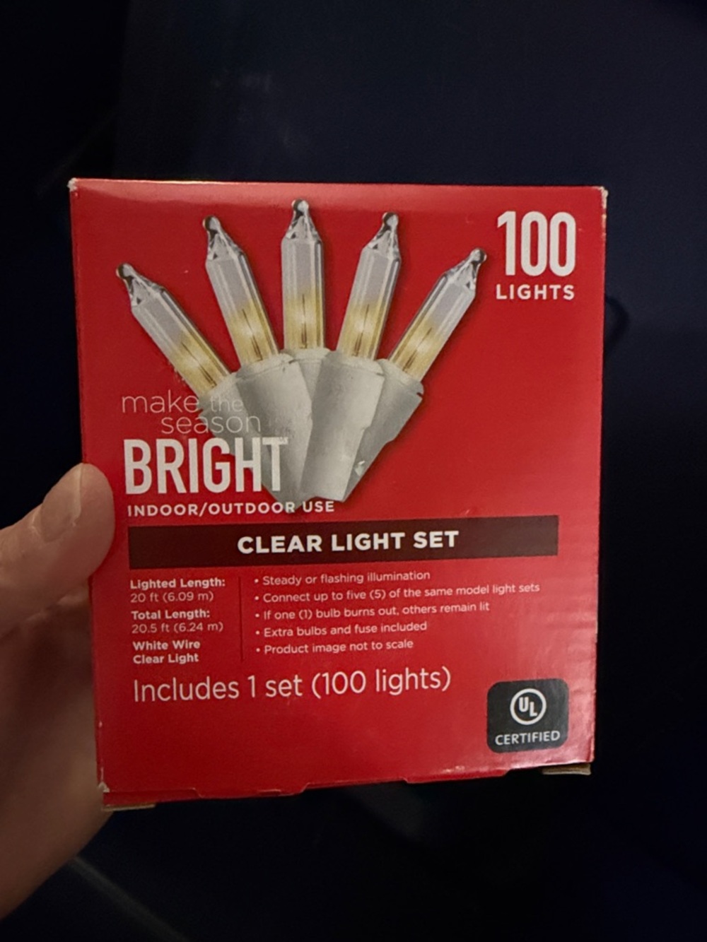 Clear White Mini Light Set - 100 Clear Bulbs